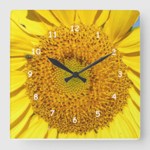 Clock - Sunflower Florets Quadratische Wanduhr