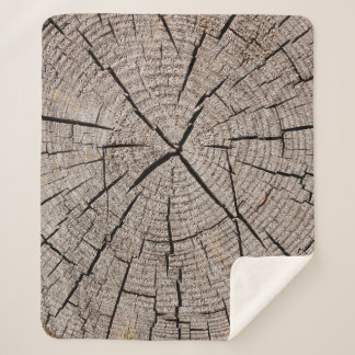 Close up gray background texture of old weathered  sherpadecke