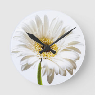 Close up of Gerbera flower head Runde Wanduhr