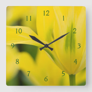 Close-up of tulip 2 quadratische wanduhr
