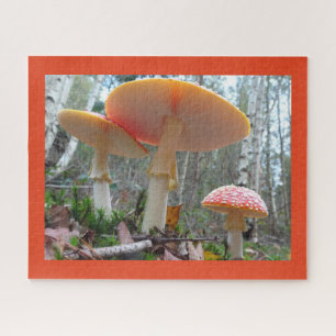 Close Up Puzzle: Fly Amanitas with Cust. Border Puzzle