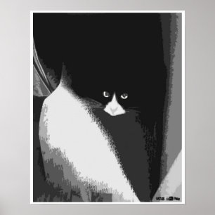 Closet Cat Poster