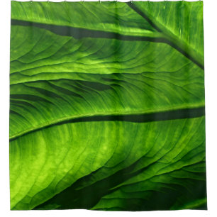 Closeup photo of green leaf duschvorhang