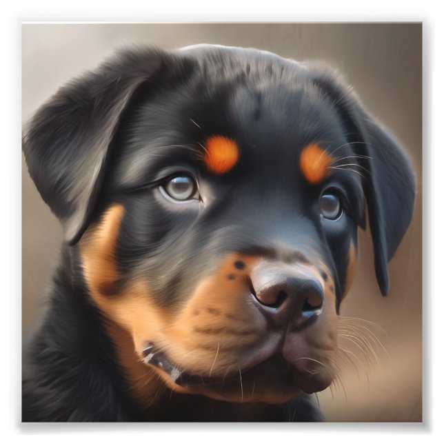 Closeup Rottweiler Welpe Fotodruck (Vorne)