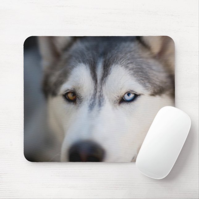 Closeup Stoic Gaze of an Alaskan Malamute Mousepad (Mit Mouse)