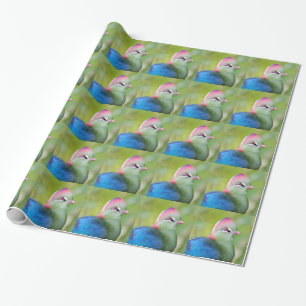 Closeup turaco fischer geschenkpapier