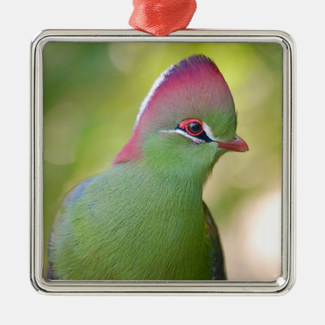 Closeup turaco fischer ornament aus metall (Vorne)