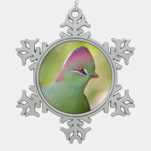 Closeup turaco fischer schneeflocken Zinn-Ornament