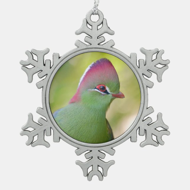 Closeup turaco fischer schneeflocken Zinn-Ornament (Vorderseite)