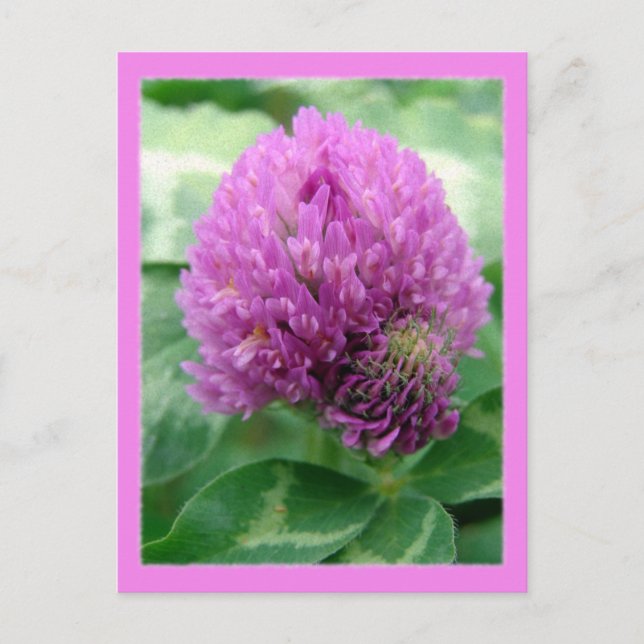 Cloud Art Postkarte (Vorderseite)