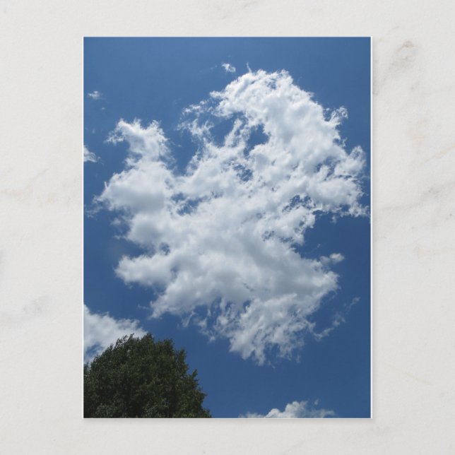 Cloud Blotch Postkarte (Vorderseite)