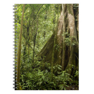 Cloud-Wald, Bosque de Paz, Costa Rica Notizblock