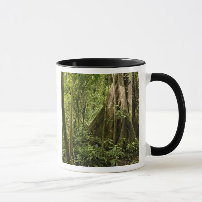 Cloud-Wald, Bosque de Paz, Costa Rica Tasse (Rechts)