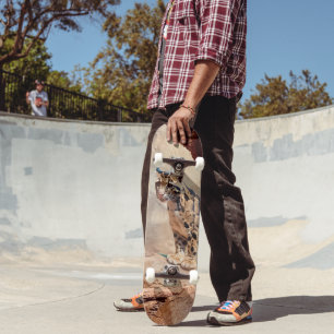 clouded leopard picture nature wildlife exotic skateboard