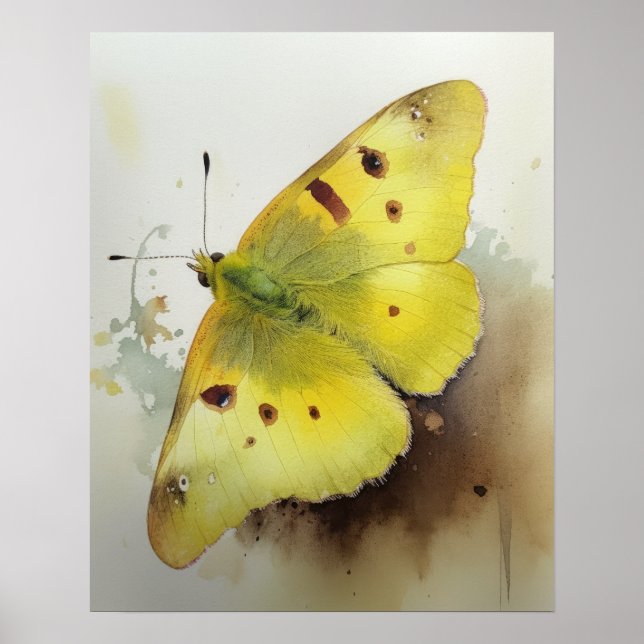 Clouded Sulfur Butterfly Art Print Poster (Vorne)