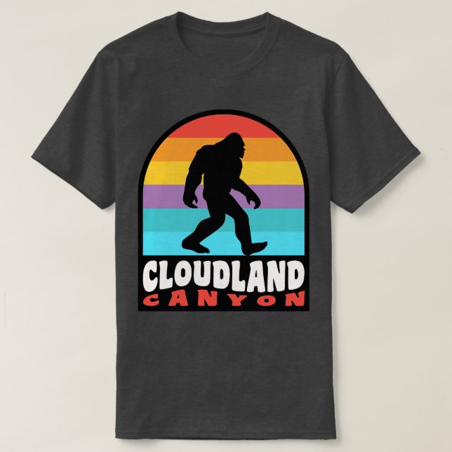 Cloudland Canyon Staat Park Georgien Wandern T-Shirt (Design vorne)