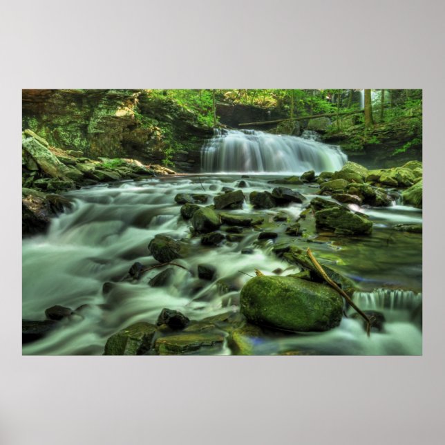 Cloudland Canyon Wasserfall Poster (Vorne)