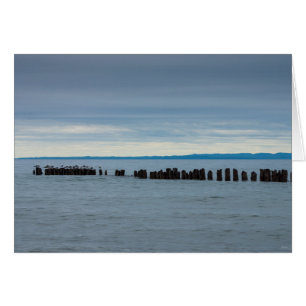 Cloudy At Whitefish Bay