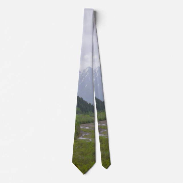 Cloudy in Denali Neck Tie Krawatte (Vorderseite)