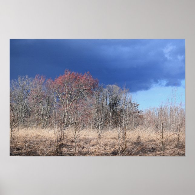 Cloudy Landscape Poster (Vorne)