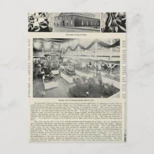 Cloverdale, Kalifornien Postkarte