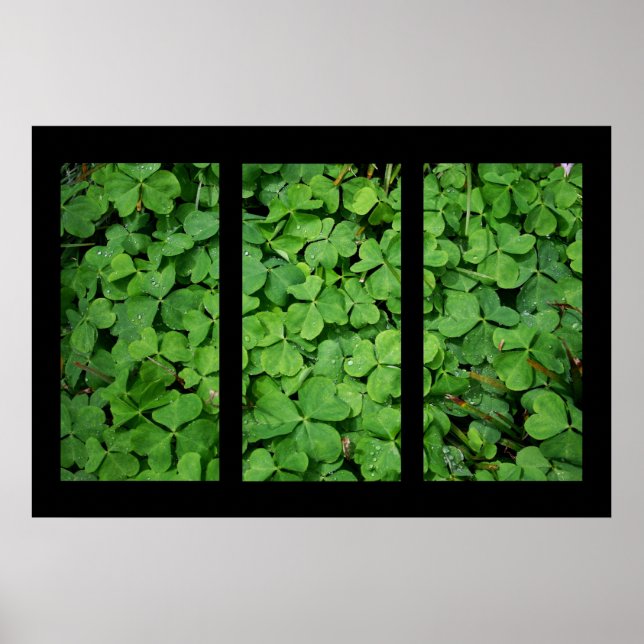Cloverleaf Triptych Poster (Vorne)
