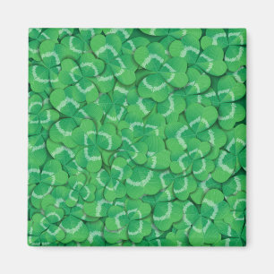 Clovers Magnet