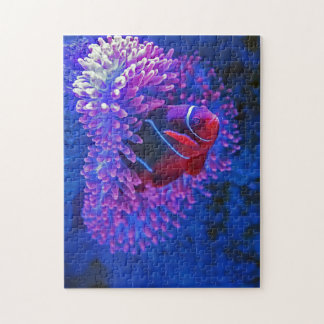 Clown Fish Coral Reef Lebewesen Meereslebewesen Ar Puzzle