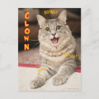 Clown-Katze Postkarte