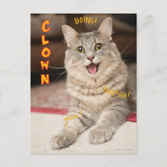 Clown-Katze Postkarte (Vorderseite)