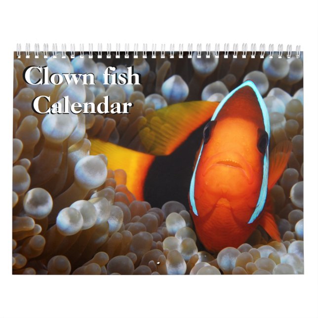 Clownfisch 2025 kalender (Titelbild)