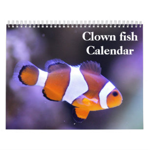 Clownfisch 2025 kalender