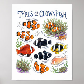 Clownfisch Aquarell Tropische Riff-Fisch-Kunst Poster