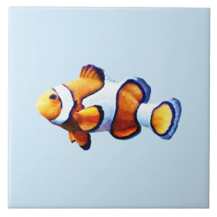 Clownfisch Ausschnitt Fliese