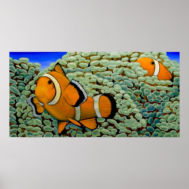 Clownfisch in Frogspawn Coral Poster (Vorne)