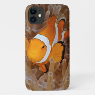 Clownfisch - Molokai, North Shore Cliff Case-Mate iPhone Hülle