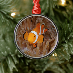 Clownfisch - Molokai, North Shore Cliff Ornament Aus Metall