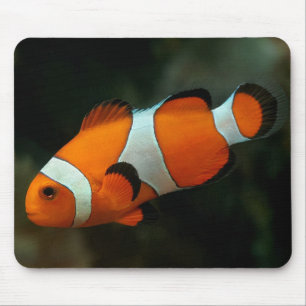 Clownfisch Mousepad