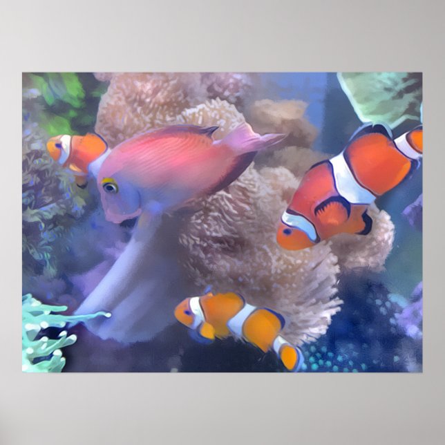 Clownfischaquarium Poster (Vorne)