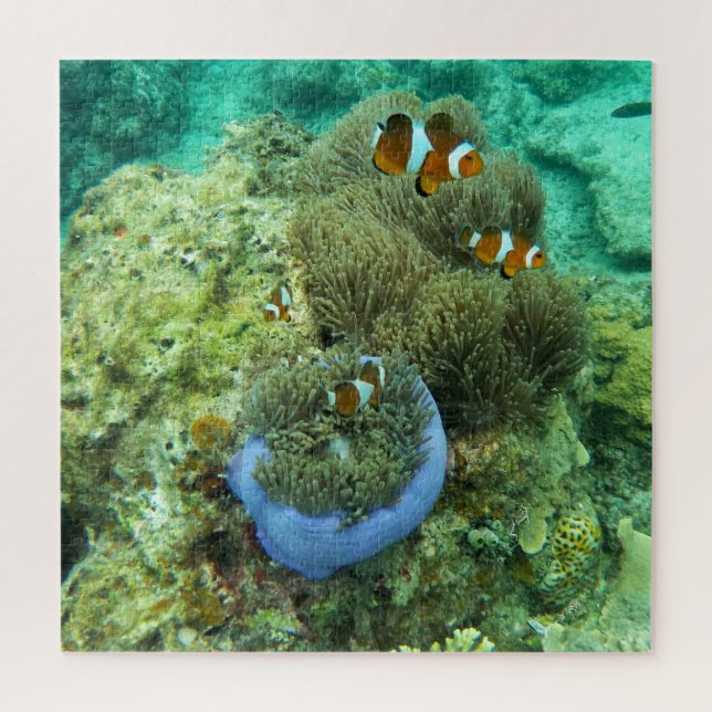 Clownfische Jigsaw Puzzle (Vertikal)