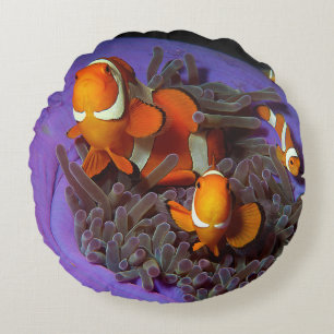 Clownfische sind immer in Bewegung Busy Anemonef Rundes Kissen