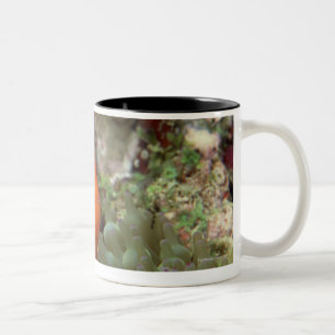 Clownfish 2 zweifarbige tasse
