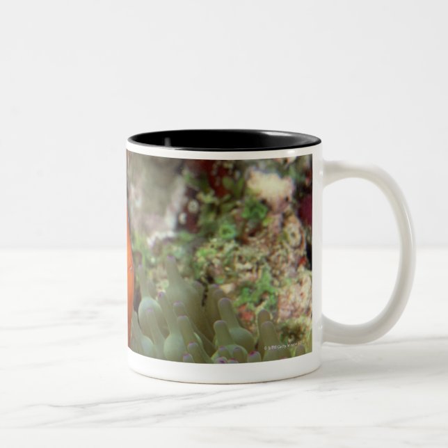 Clownfish 2 zweifarbige tasse (Rechts)