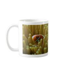 Clownfish auf der Great Barrier Reef Kaffee-Tasse