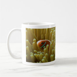 Clownfish auf der Great Barrier Reef Kaffee-Tasse Kaffeetasse