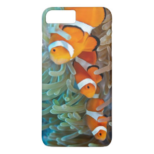 Clownfish Case-Mate iPhone Hülle