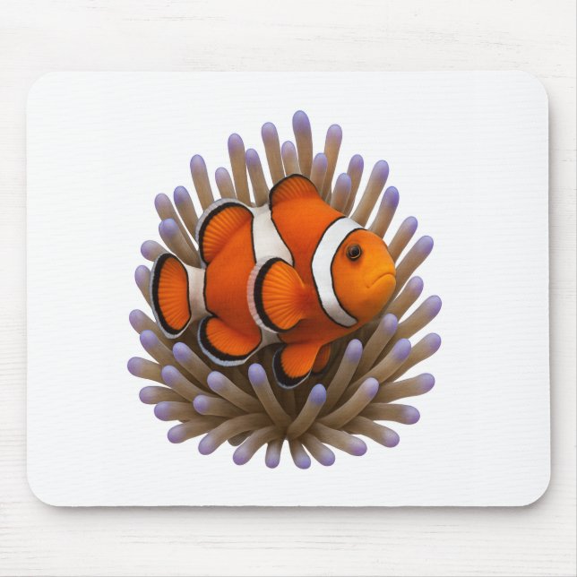 Clownfish & Cosy Coral Mousepad (Vorne)