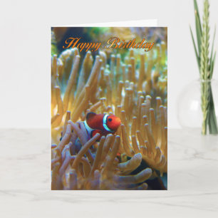 Clownfish Geburtstagskarte - Fotografy Card - Happ Karte
