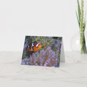 Clownfish Korallensee Anemone Unterwasser Niedlich Karte