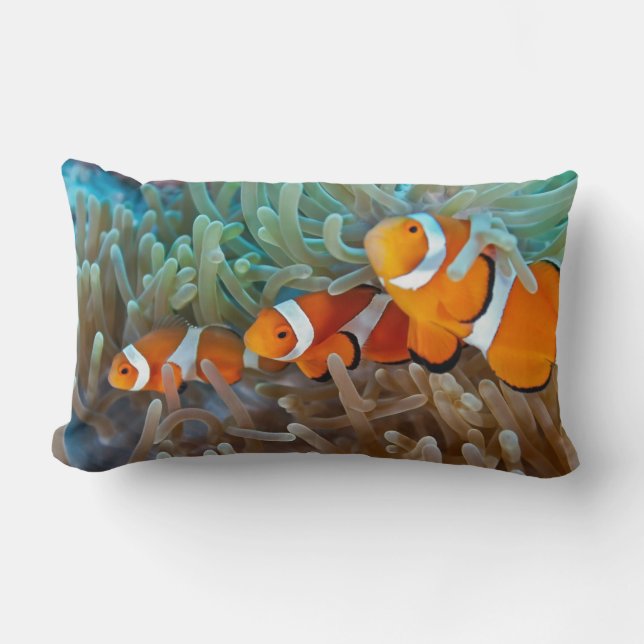 Clownfish Lendenkissen (Vorderseite)